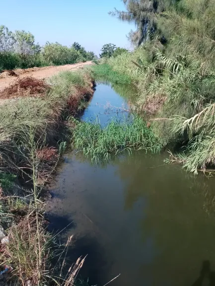 جانب من المتابعة 