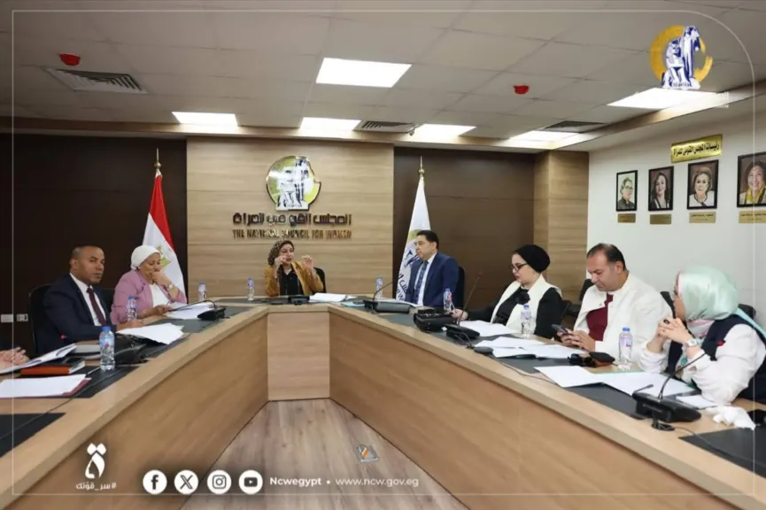 لجنة المحافظات بالقومى للمرأة تعقد اجتماعها الدورى  وتناقش خطة عملها خلال الفترة المقبلة