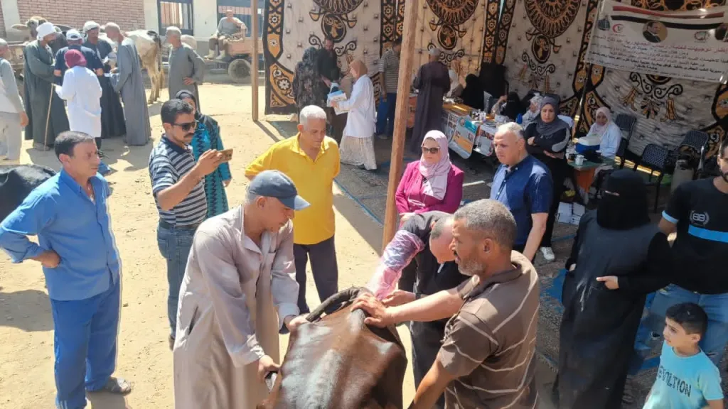 ارشيفية