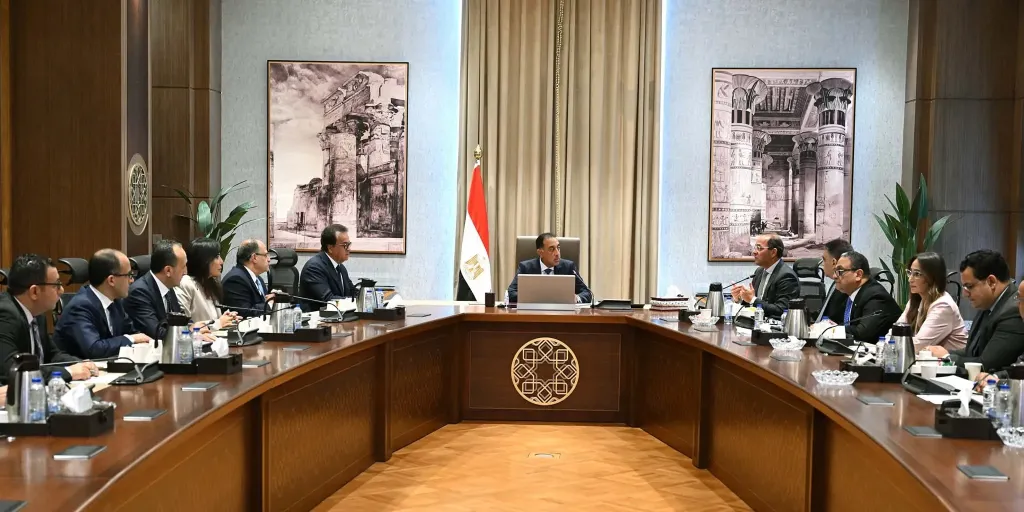 رئيس الوزراء يتابع جهود دعم صناعة الدواء في السوق المصرية ومؤشرات تطورها
