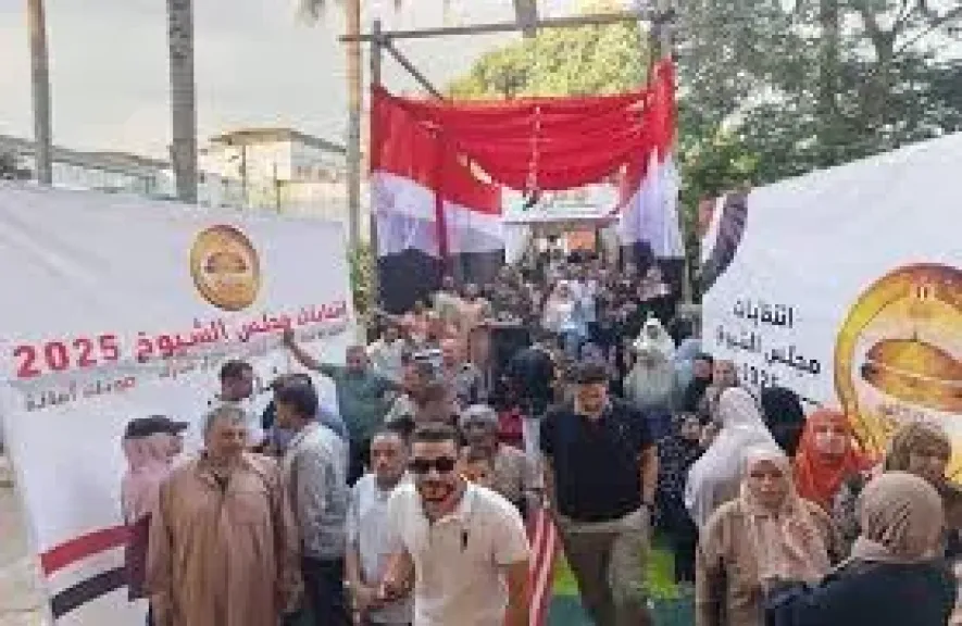 انتخابات الشيوخ 