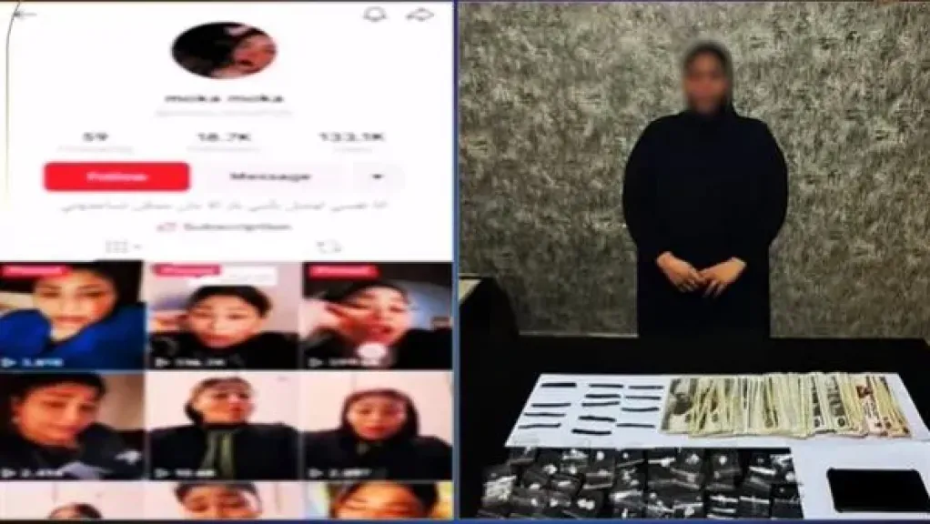 القبض على «صانعة محتوى» بالجيزة لبثها مقاطع فيديو تتضمن ألفاظًا خادشة للحياء