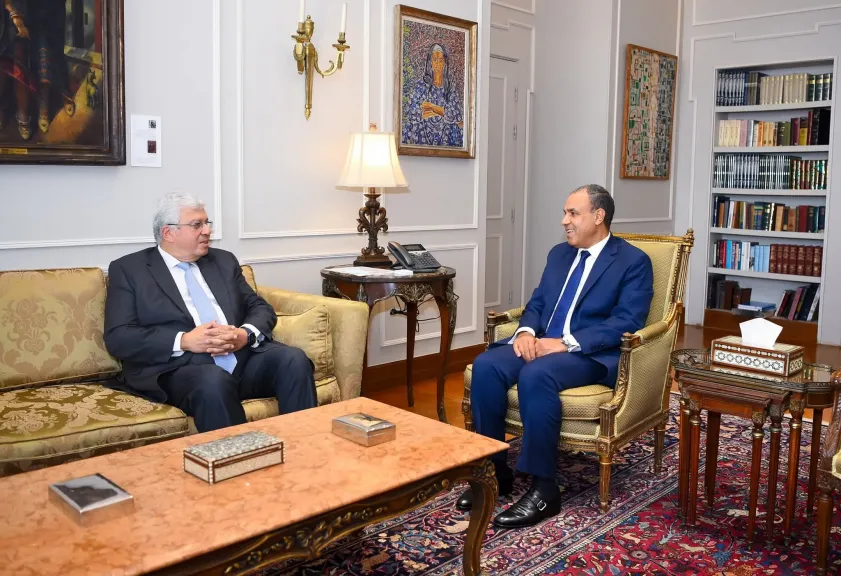 وزير الخارجية يستقبل وزير التعليم العالي