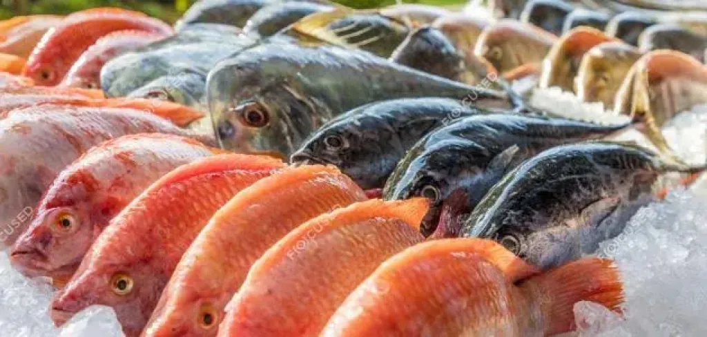 تباين أسعار السمك والجمبري في سوق العبور اليوم الجمعة 15 أغسطس 2025