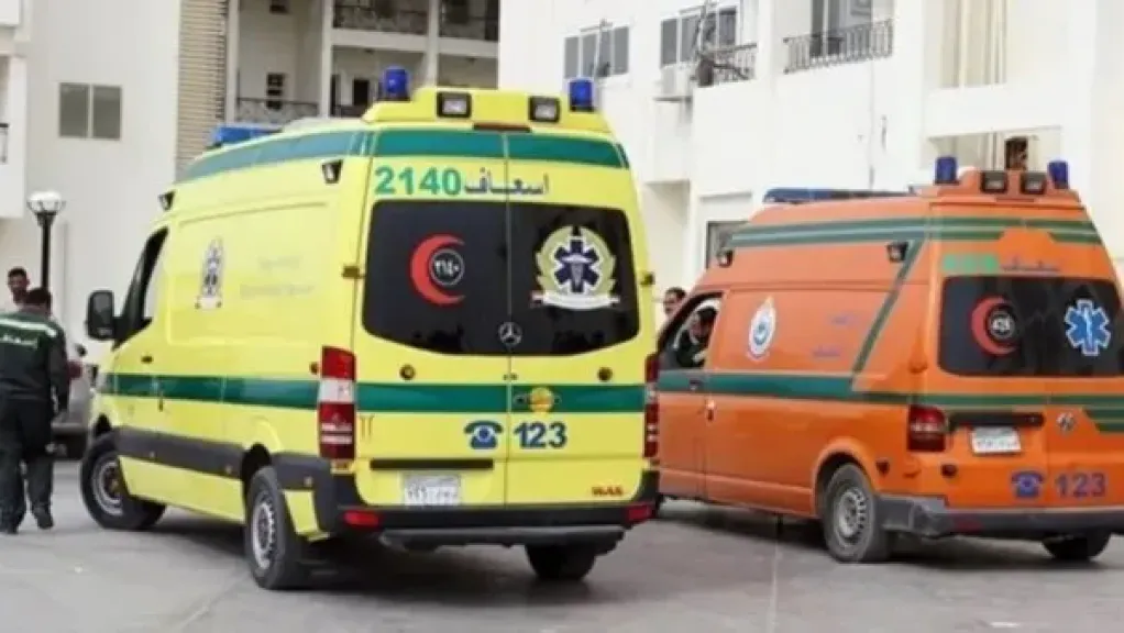 إصابة 9 أشخاص بينهم 7 أطفال باختناق نتيجة استنشاق مبيد حشري في أسيوط