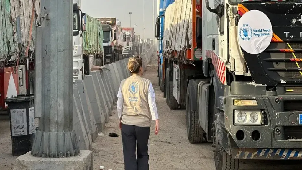 المساعدات الإنسانية 