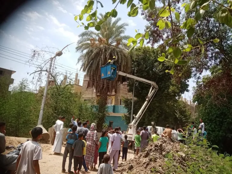 جانب من محاولات السيطرة على القرد 