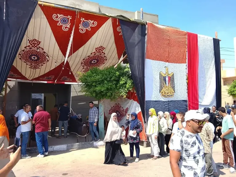 اللجان الانتخابية بالإسماعيلية 
