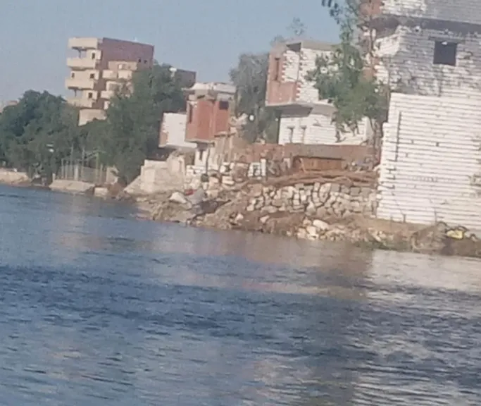 أرشيفية 