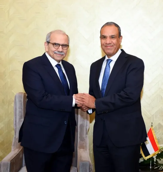 جانب من اللقاء 