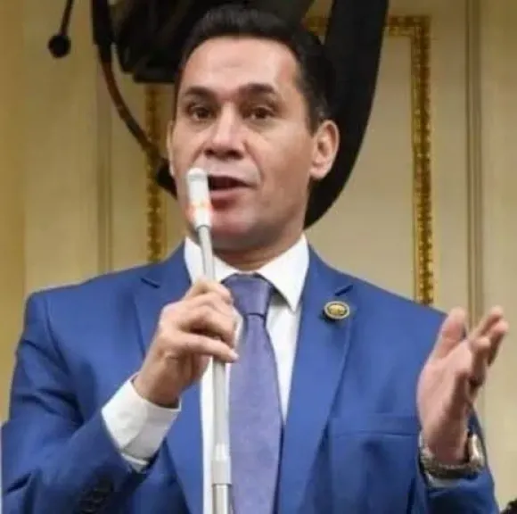النائب أحمد عاشور 