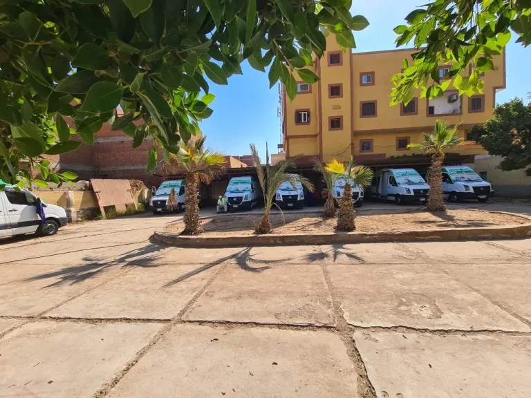 أرشيفية