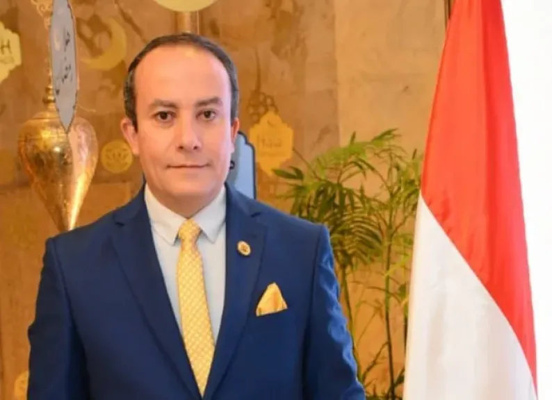 عمرو عباس، أمين عام التنظيم بحزب مصر المستقبل
