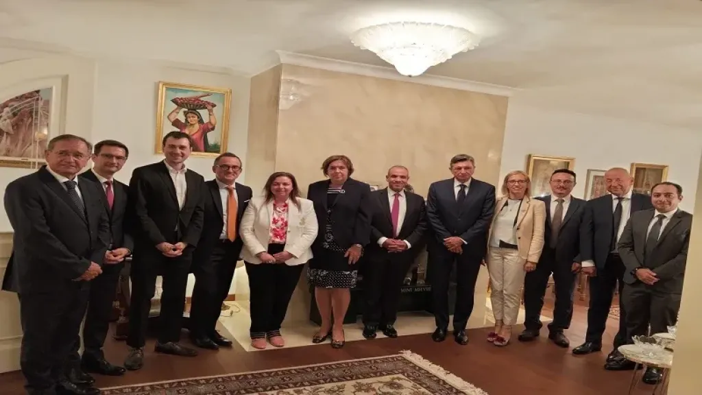 الخارجية المصرية 