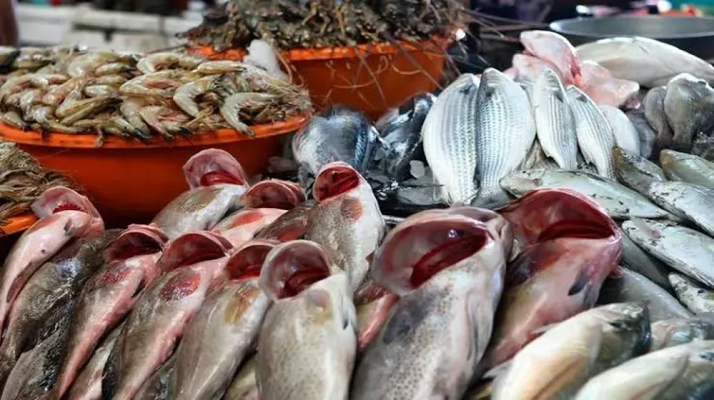 أسعار السمك اليوم 