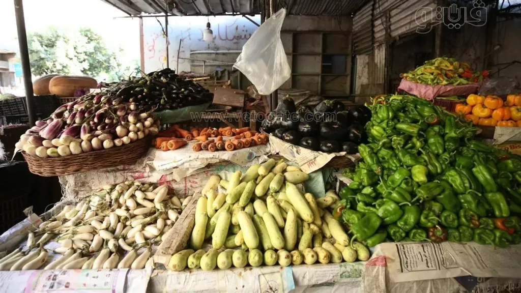 سعر الخضار اليوم