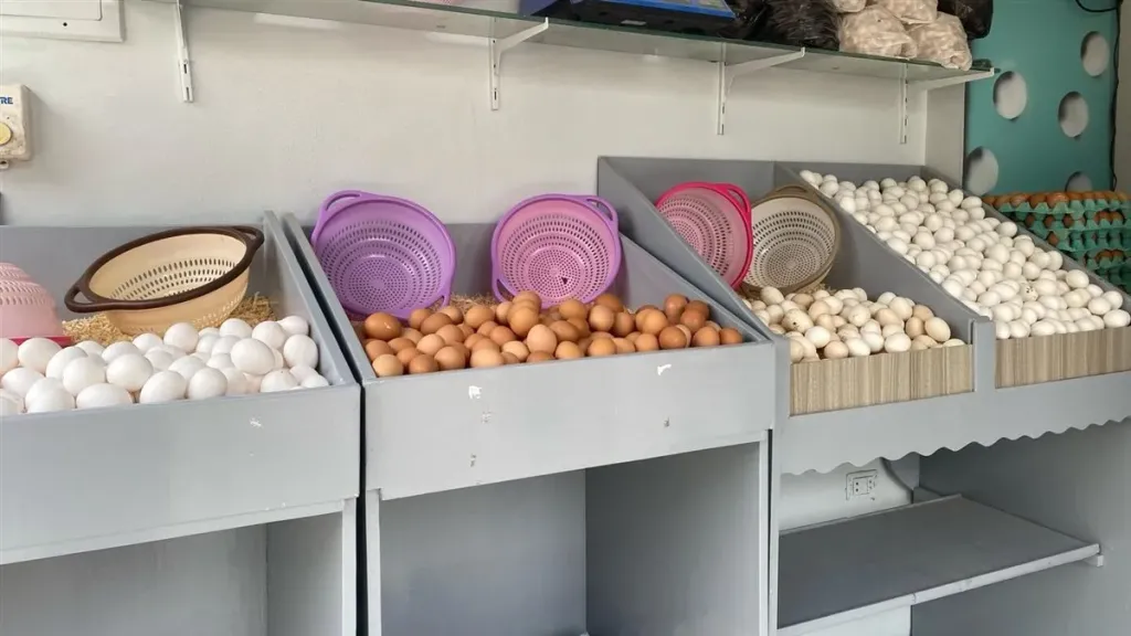 سعر البيض اليوم 
