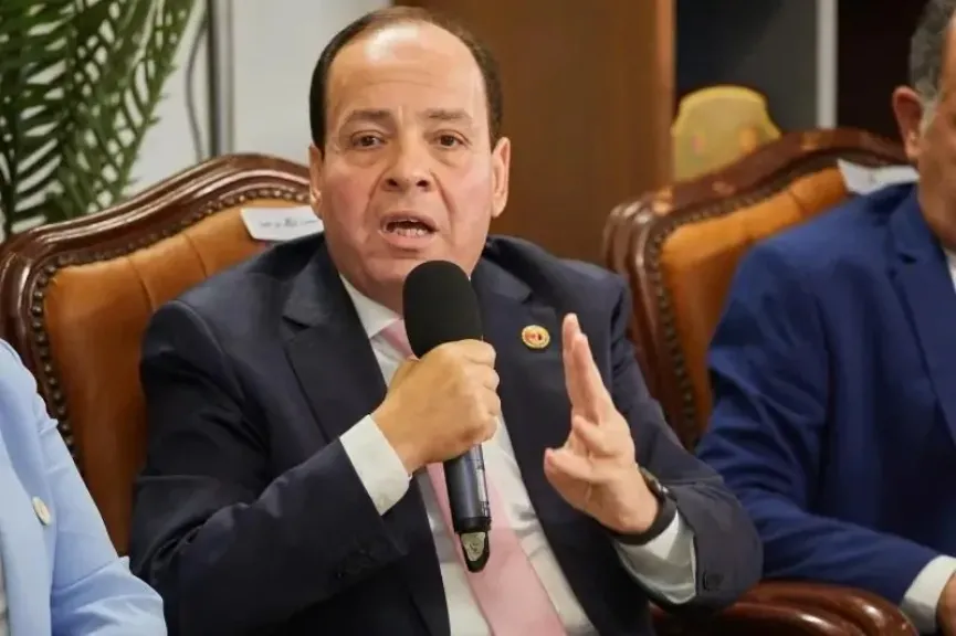أشرف أبو النصر