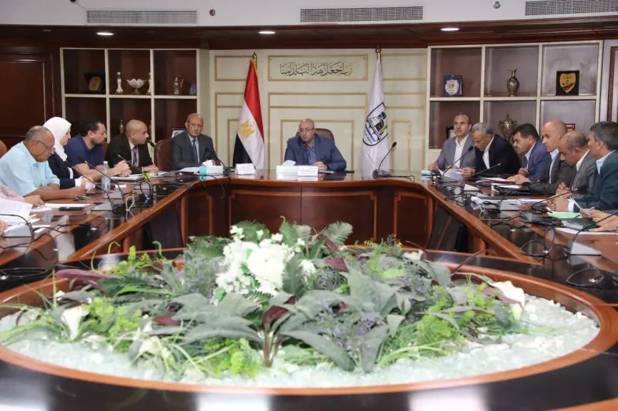 محافظ بني سويف 