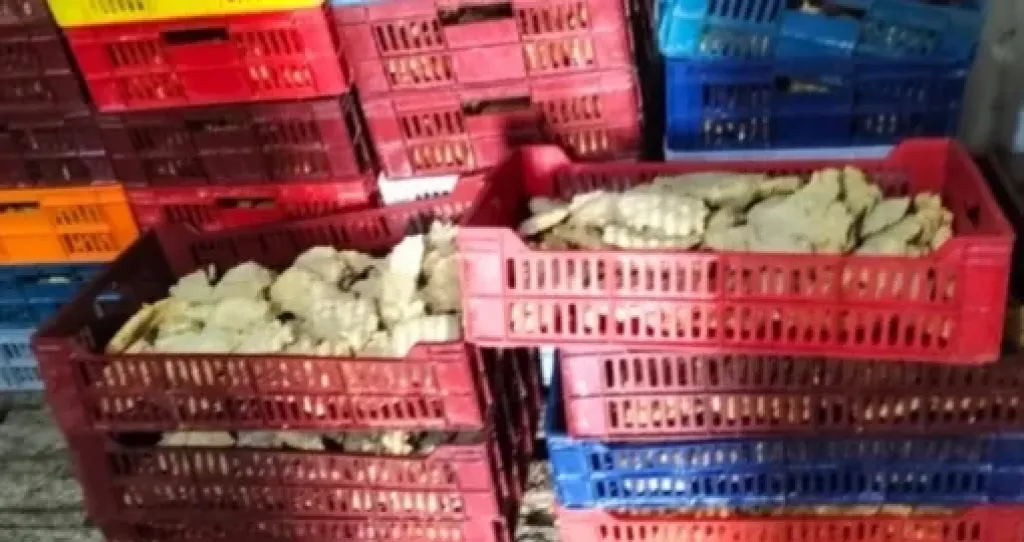  ضبط 3 أطنان مواد غذائية فاسدة 