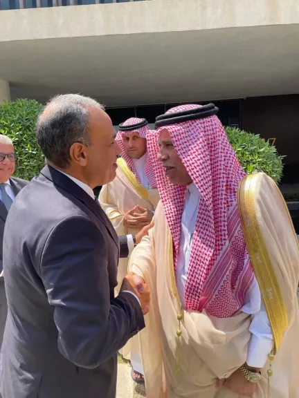 جانب من اللقاء 