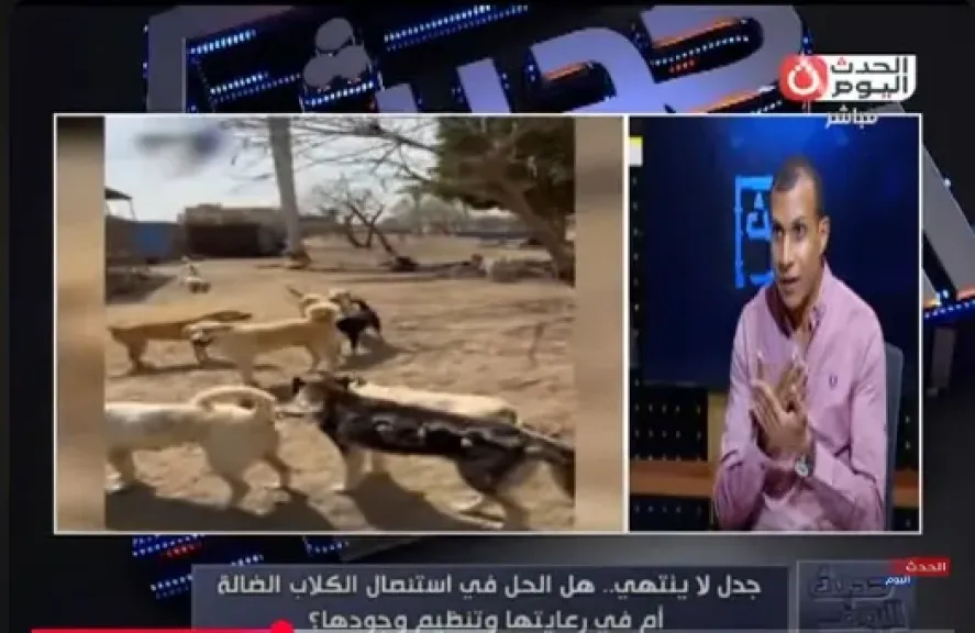 مينا فوزي، عضو مؤسسة حماية الحيوان