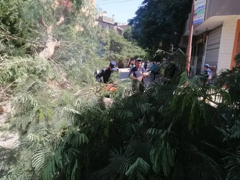 أثناء العمل 