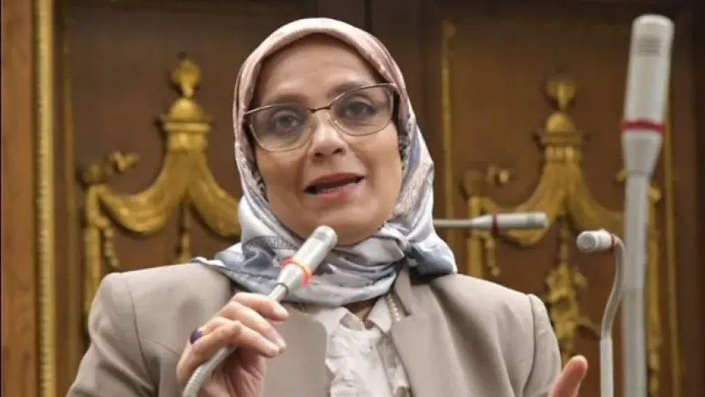 النائبة نجلاء العسيلي، عضو مجلس النواب