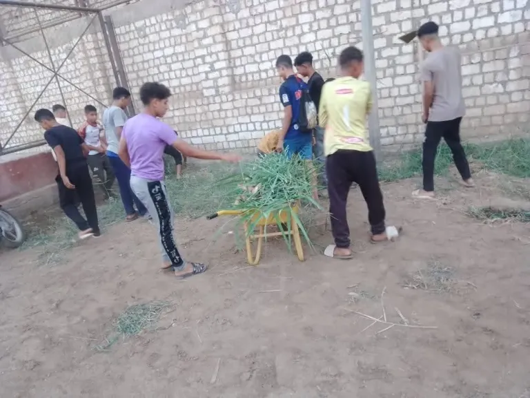 أثناء العمل 