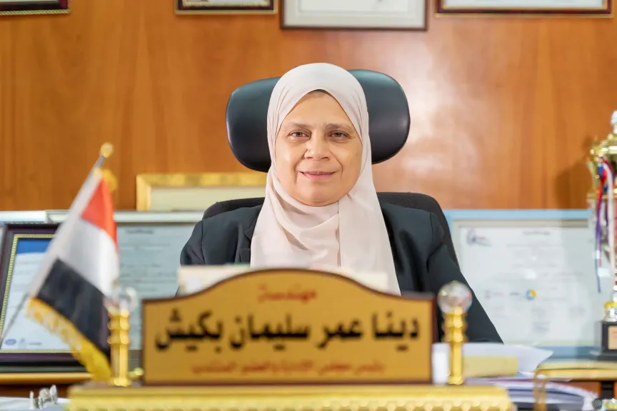 دينا عمر سليمان 
