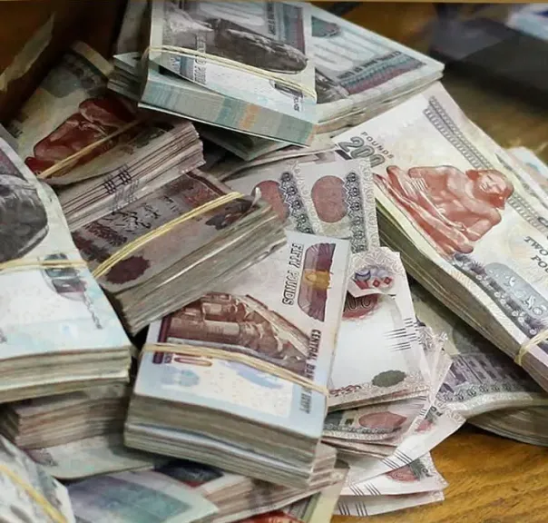 فضيحة اختلاس14مليوم  في  شركة مياه الفيوم 
