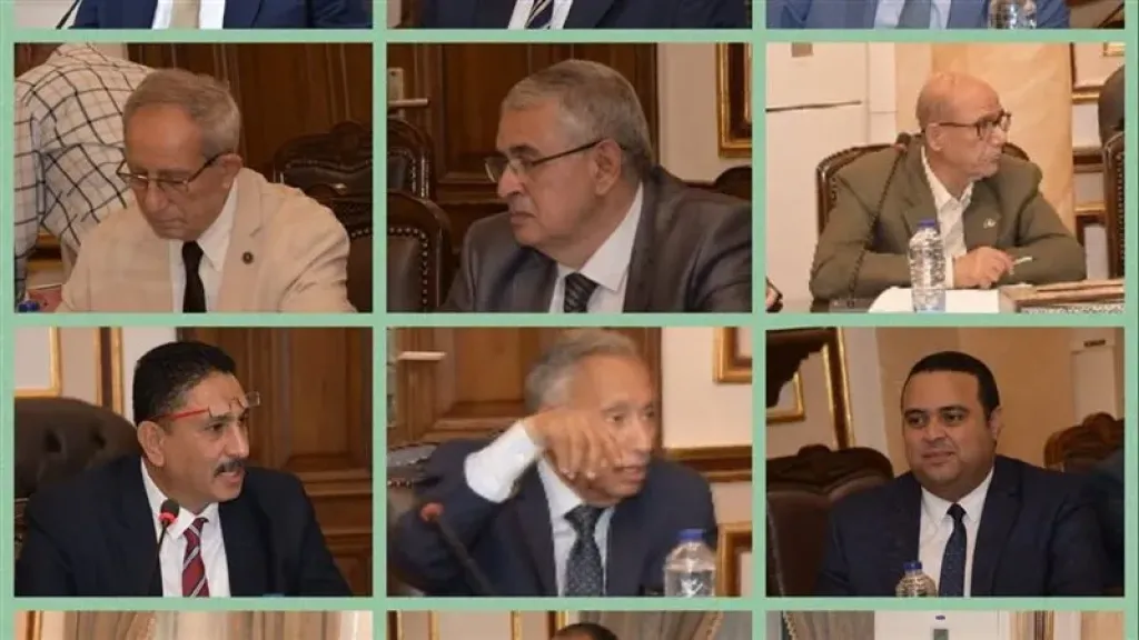 لجنة الإسكان بجامعة القاهرة