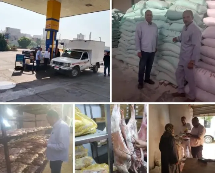 حملات رقابية بالمنيا 