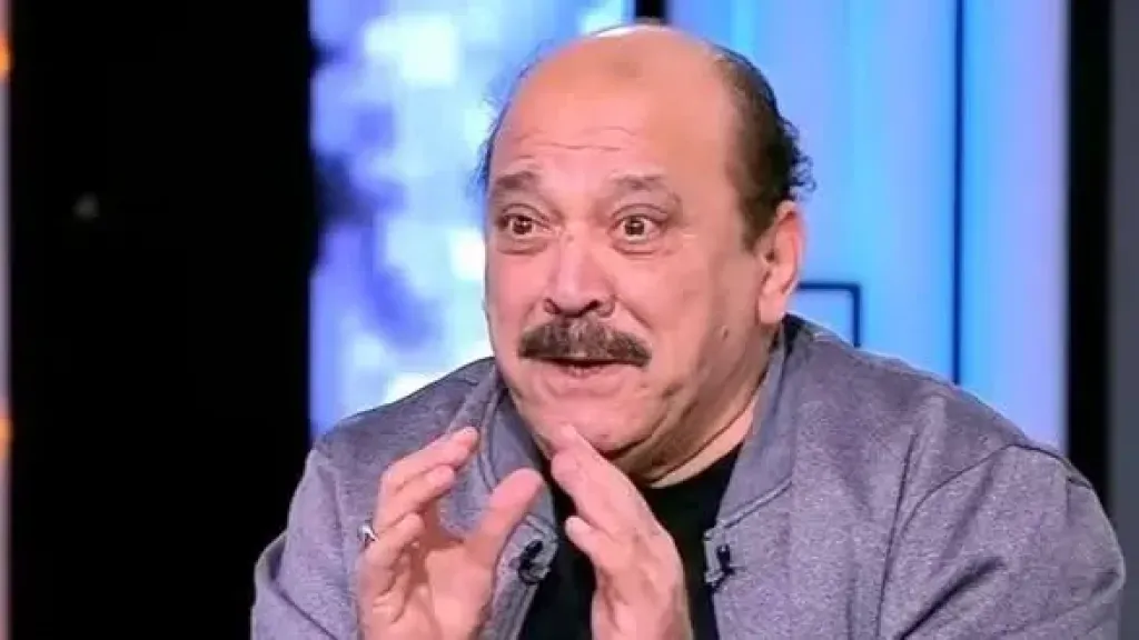 ضياء الميرغني