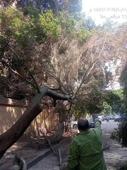 جانب من الإزالة 