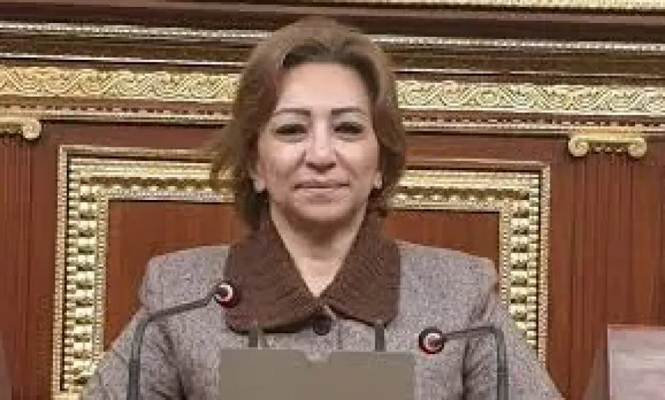  النائبة الدكتورة مها عبد الناصر، عضو مجلس النواب