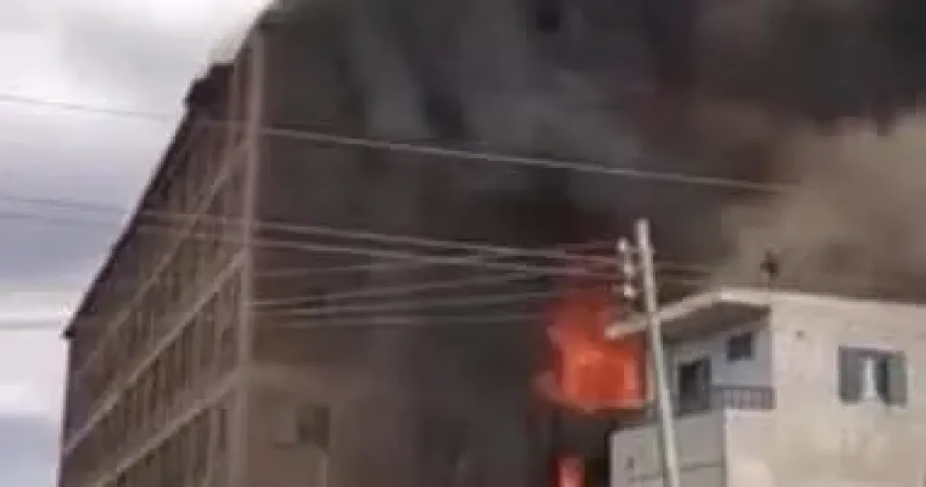 الفيوم  سعيد كمال 