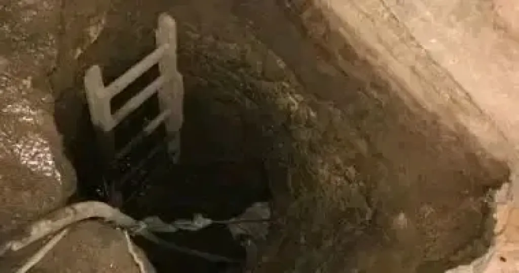 الفيوم  سعيد كمال 