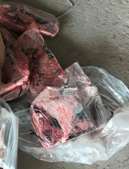 جانب من المتابعة 