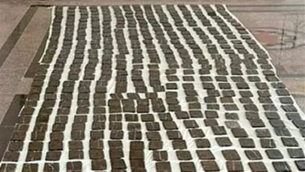 المضبوطات 