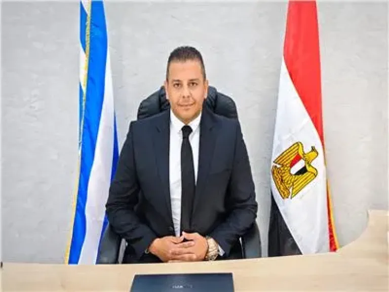 رضا عكاشة، مساعد أمين عام المصريين بالخارج بحزب "مصر المستقبل"