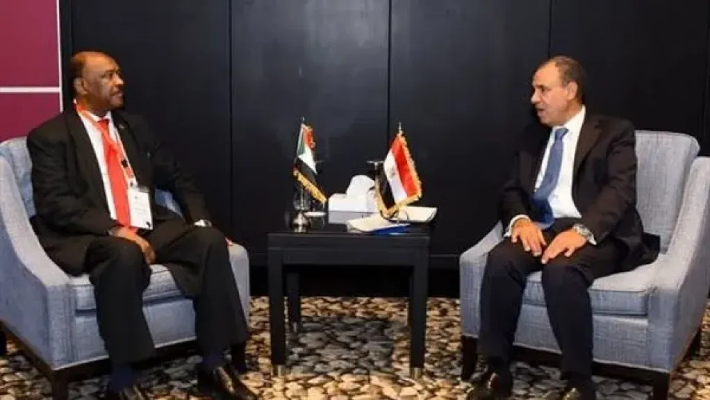 د. نادر عبد العاطى