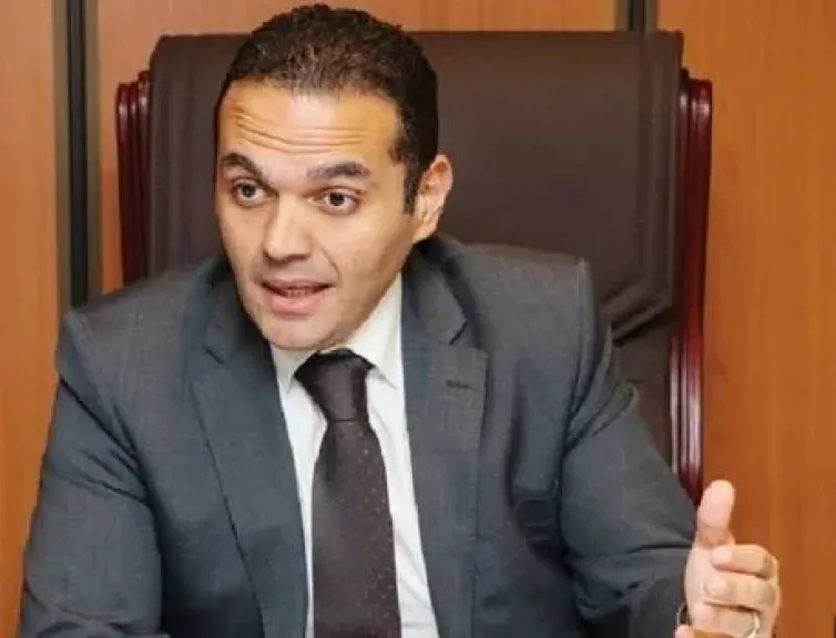 الدكتور مدحت نافع، أستاذ وخبير الاقتصاد