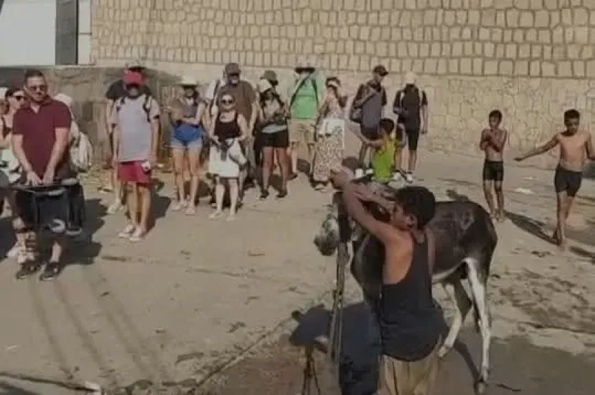 مشهد تلويث النيل