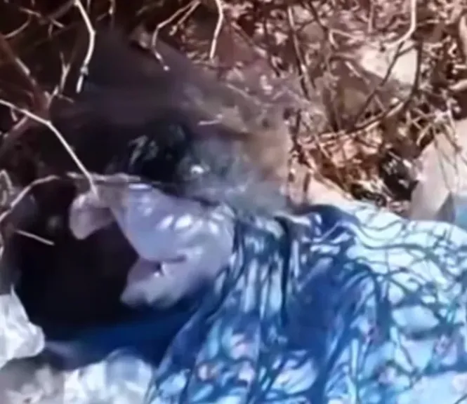   اكتشاف الطفل من قبل الأهالي