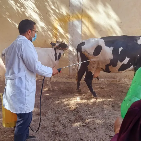  حملة وقائية لحماية الثروة الحيوانية