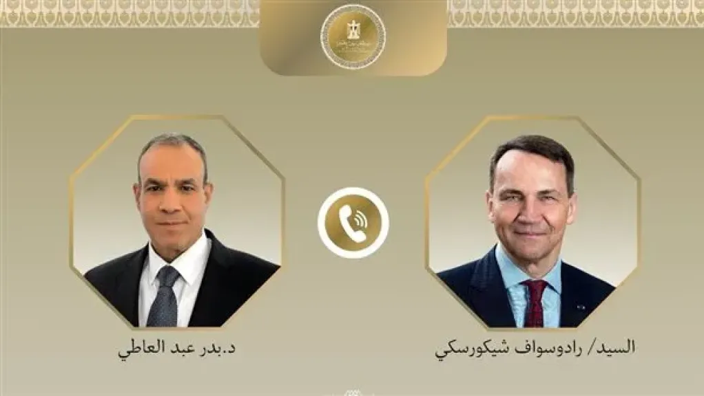 بدر عبد العاطي