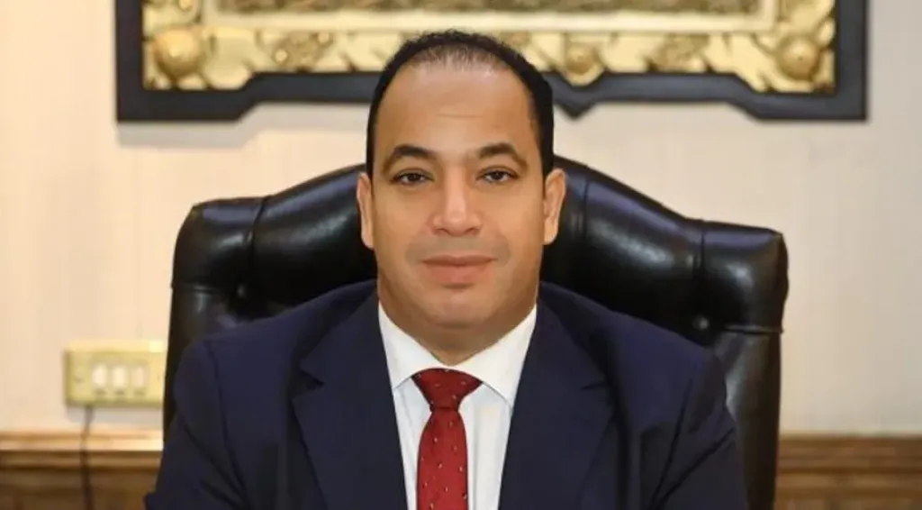 الدكتور عبد المنعم السيد، مدير مركز القاهرة للدراسات الاقتصادية والاستراتيجية