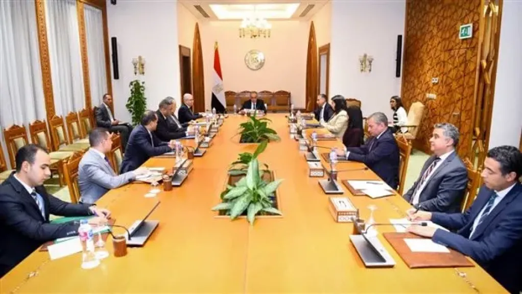 بدر عبد العاطي