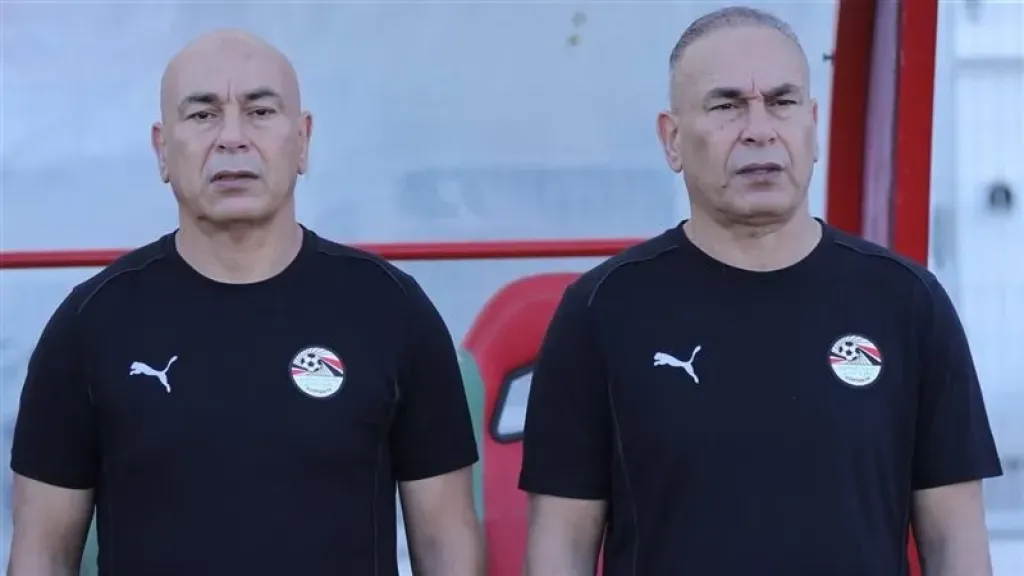 حسام وإبراهيم حسن